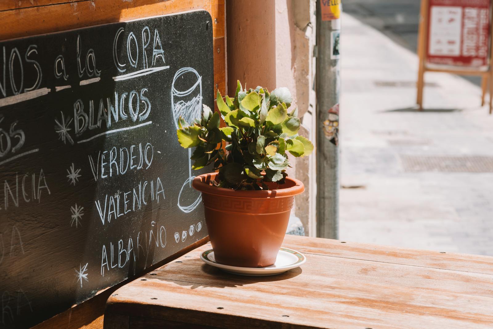 Charming café scene featuring a chalkboard menu and potted plant on a wooden table outdoors.